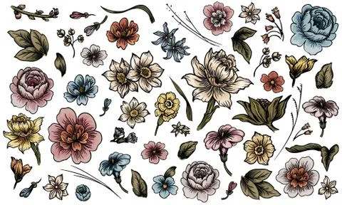Flower Set Stock Illustration