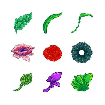 Flower set vector illustration 스톡 일러스트