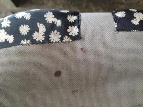 Flower sewing Stock-Fotos