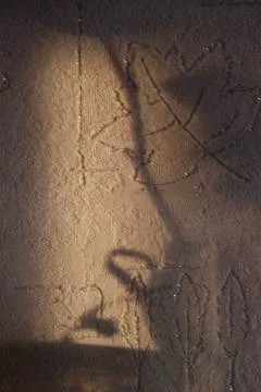 Flower shadow on the wall Stock Photos
