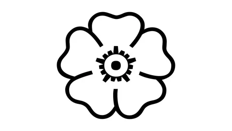 Flower shape icon animated black color in white background Stock Footage 264644260
