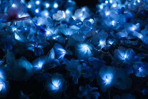 Flower shaped electricity lights decorate in the lighting festival Stock Photos