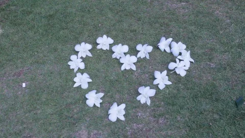 Flower shaped heart Stock Footage 104787264