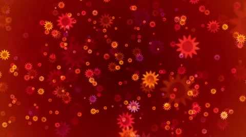 Flower Shapes Video stock 5298498