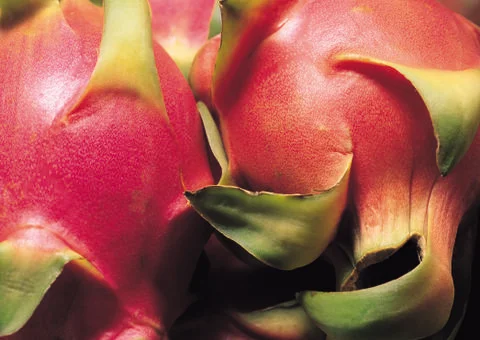 Flower sheet Stock Photos