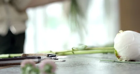 Flower Shop Background Stock Footage 89520125