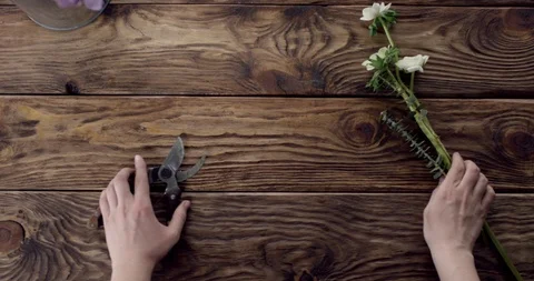 Flower Shop Background Stock Footage 92084115