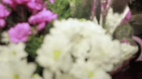 Flower shop Stock-Footage 14271280