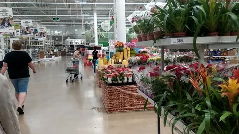 Flower shop Video stock 137656459