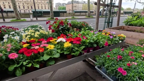 Flower Shop in Paris Video stock 302796435