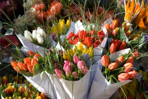 Flower shop. Stock Photos