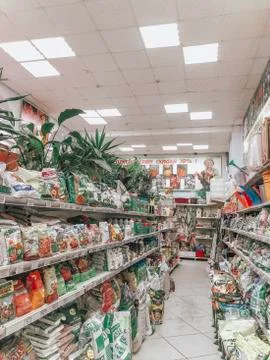 Flower shop 스톡 사진