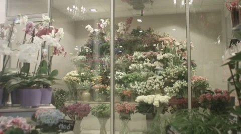 Flower shop showcase Stock Footage 50293536