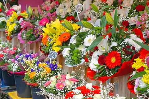 Flower shop window Stock Photos