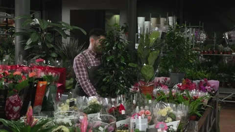 Flower shop worker puts a large plant on the table Vidéo 170875807