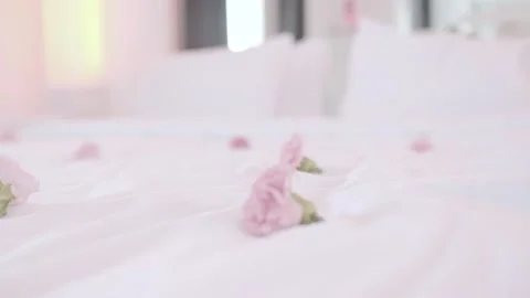 Flower shot above the bed Stock Footage 141882456