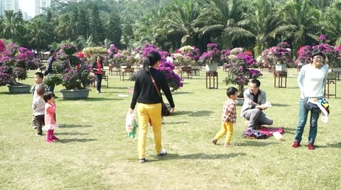 The flower show in the park Stock Footage 43970141