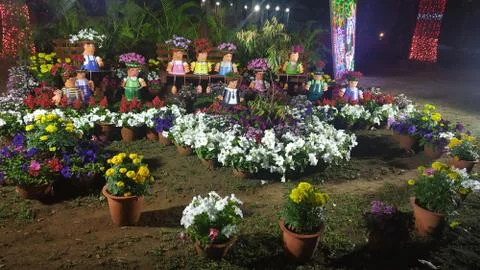 Flower show Stock Photos
