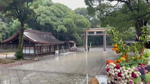 Flower shrine 9 Stock Footage 236266313