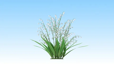 Flower shrubs on a white background Stockbeeldmateriaal 221026166