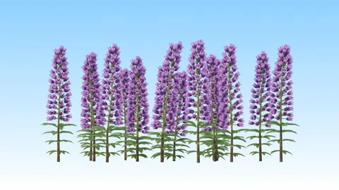 Flower shrubs on a white background Stockbeeldmateriaal 221302916