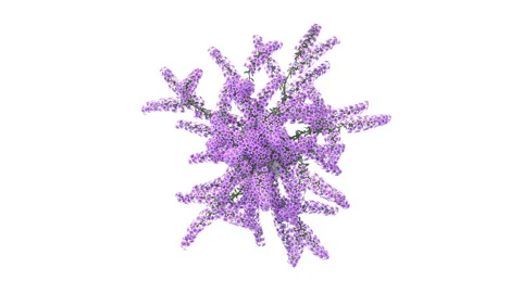 Flower shrubs on a white background. Top View Stockbeeldmateriaal 220842401