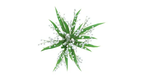 Flower shrubs on a white background. Top View Stockbeeldmateriaal 221026110