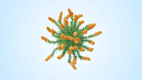 Flower shrubs on a white background. Top View Stockbeeldmateriaal 221887509