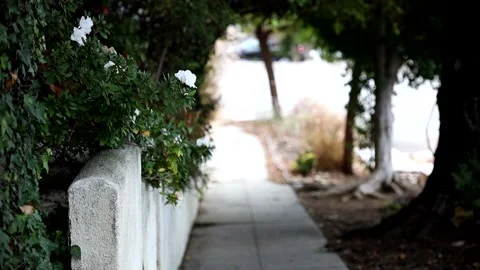 FLOWER ON THE SIDE OF HILL WALKWAY Stock Footage 162633307