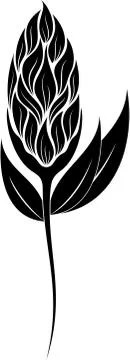 Flower Silhouette Stock Illustration