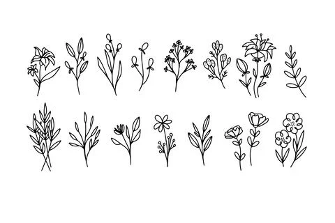 Flower simple vector icon. Doodle outline plant. Drawings element silhouette Stock Illustration