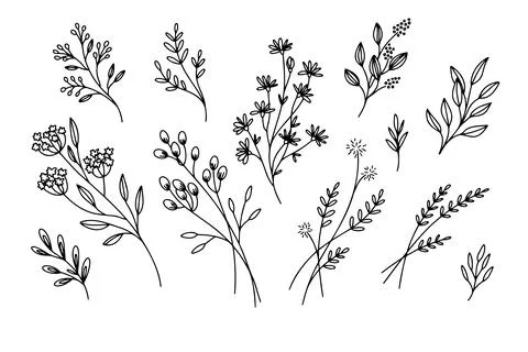 Flower simple vector icon. Doodle outline plant. Drawings element silhouette Illustrazione stock