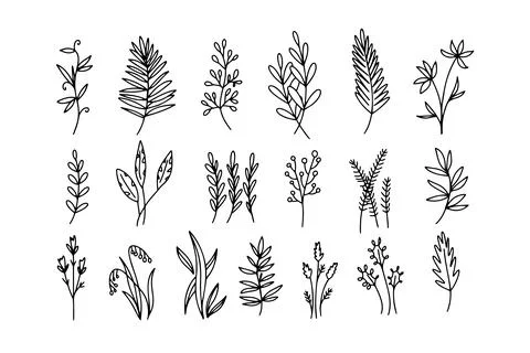 Flower simple vector icon. Doodle outline plant. Drawings element silhouette Stock Illustration