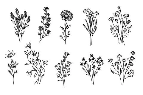 Flower simple vector icon. Doodle outline plant. Drawings element silhouette Stock Illustration