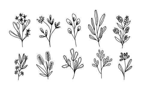 Flower simple vector icon. Doodle outline plant. Drawings element silhouette Stock Illustration