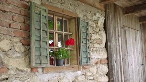 Flower sitting on Windowframe of old house Stock Footage 171118829