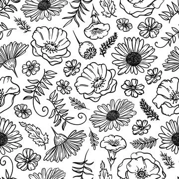 FLOWER SKETCH Monochrome Seamless Pattern Vector Illustration Stock Illustration