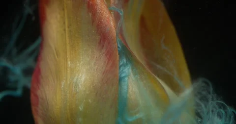 Flower smoke ink drop explosion tulip petals wave Stock Footage 333290486