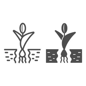 Flower in soil line and solid icon, Garden and gardening concept, tulip grows Stock Illustration