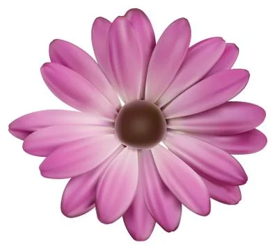 Flower solo Stock Illustration