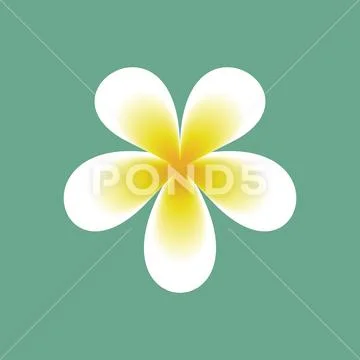 Flower for spa. 스톡 일러스트