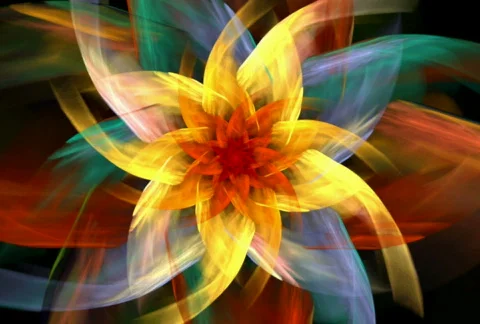 Flower spiral Stock Footage 316108