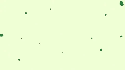 Flower spots dots dot spot Vidéo 337030571