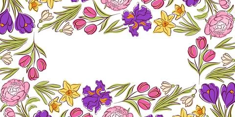 Flower spring border in line art style. Elegant botanical background with white Stock Illustration