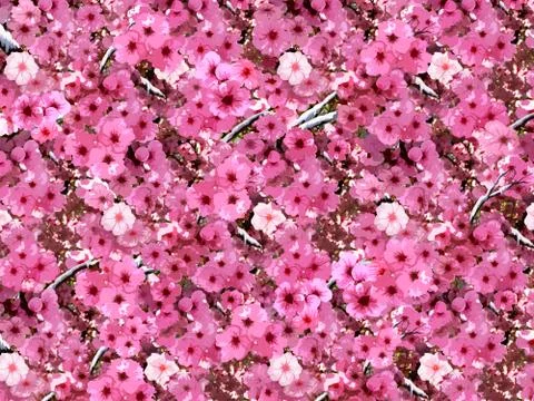 Flower spring day Stock Illustration