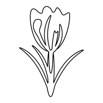 Flower spring natural decoration thin line Stock Illustration