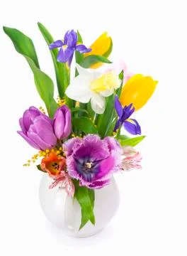 Flower spring Foto stock