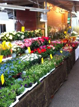 Flower Stall Stock Photos