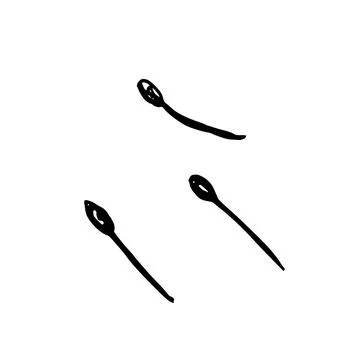 Flower stamens. Botanical elements of flowers, black seeds set. Hand drawn .. Stock Illustration