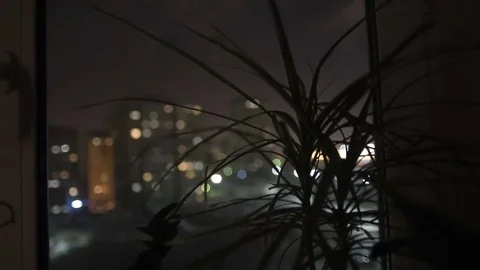 Flower stand on the window Stock Footage 81388475